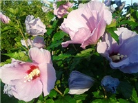 72cb093d-Fotografija0199 (2).jpg